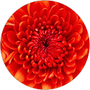kishore. ch profile picture